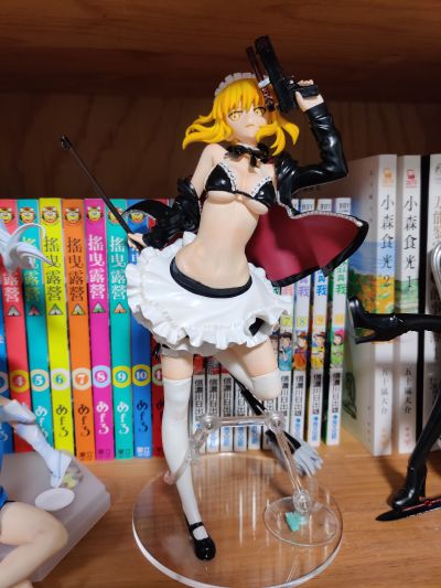 Fate/Grand Order Saber Alter