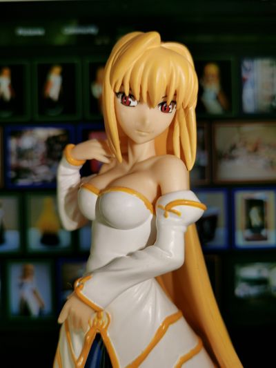 Melty Blood アルクェイド・ブリュンスタッド Extra Figure #4 