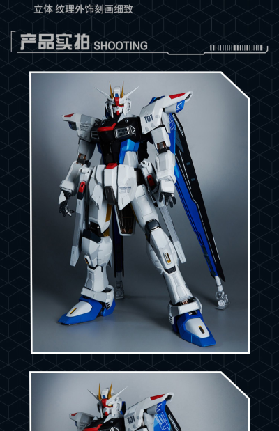 特大模型 实物大自由高达立像