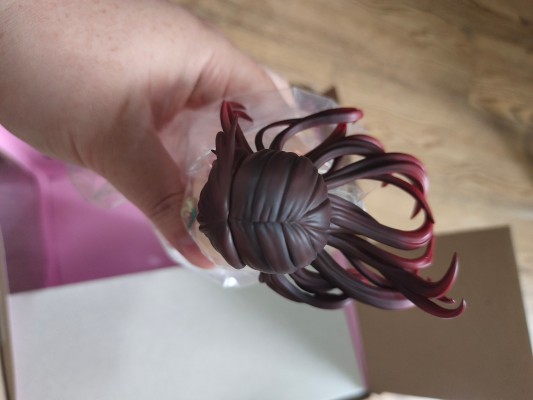 租借女友 水原千鹤 圣诞装比基尼