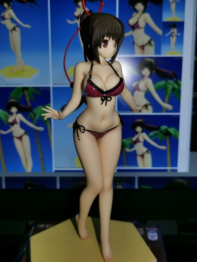 BEACH QUEENS 大图书馆的饲羊人  樱庭玉藻 