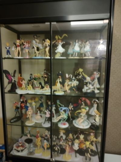 噬血狂袭 姬柊雪菜