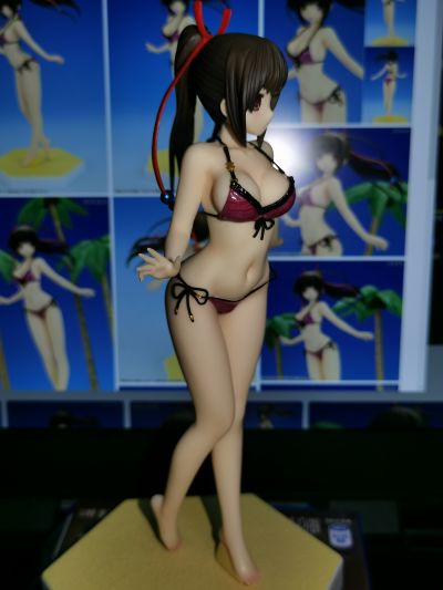 BEACH QUEENS 大图书馆的饲羊人  樱庭玉藻 
