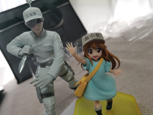 POP UP PARADE 工作细胞 血小板