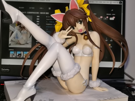 B-style IS〈无限斯特拉托斯〉凰铃音 猫版