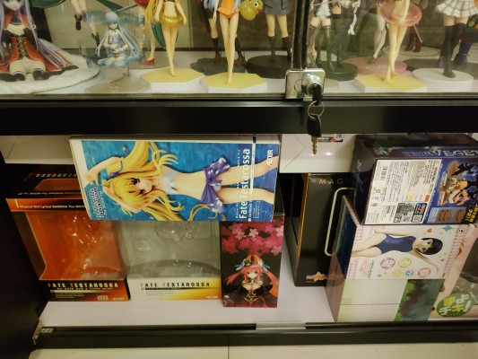 噬血狂袭 姬柊雪菜