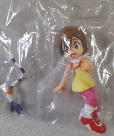 DXF～冒险档案～ 数码宝贝 八神嘉儿与迪路兽