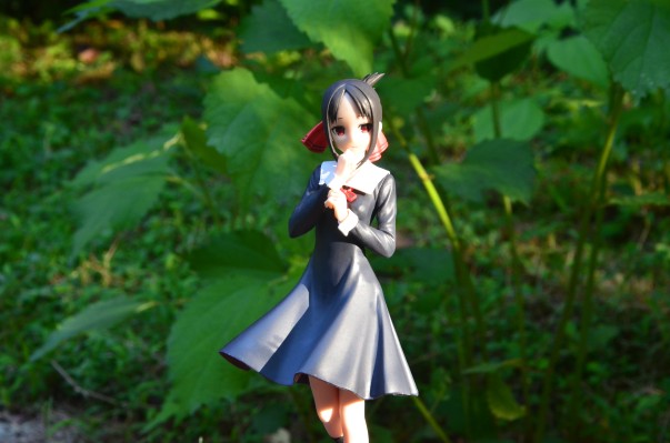 Kyunties  辉夜大小姐想让我告白？ ～天才们的恋爱头脑战～ 四宫辉夜