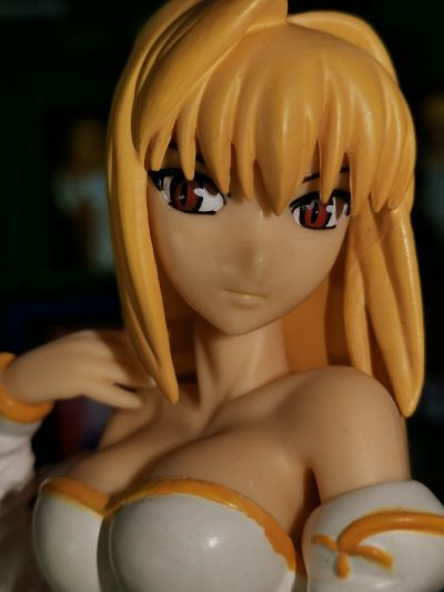 Melty Blood アルクェイド・ブリュンスタッド Extra Figure #4 