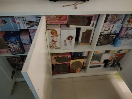 噬血狂袭 姬柊雪菜