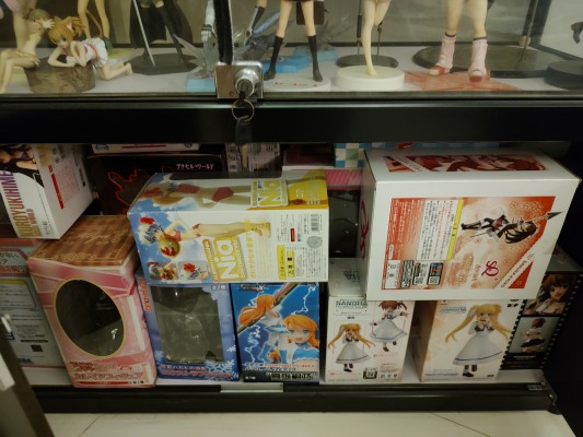 噬血狂袭 姬柊雪菜