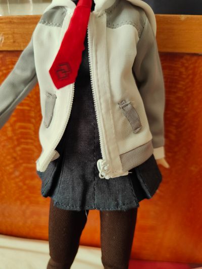 PureNeemo角色系列 No.141  命运-冠位指定 玛修·基列莱特