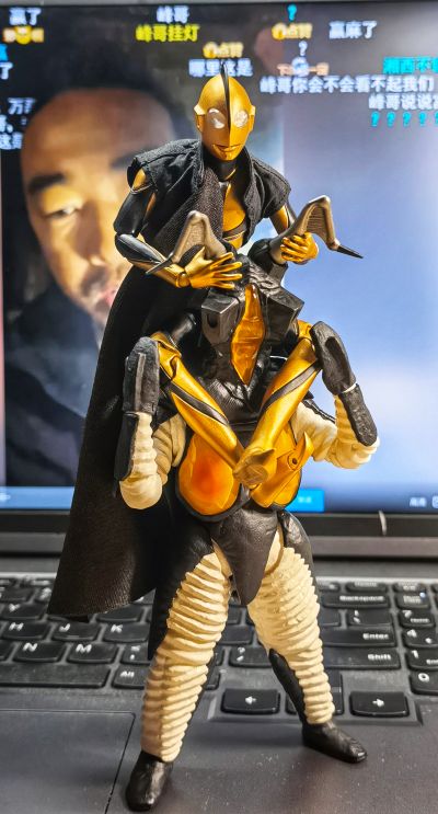 S.H.Figuarts   芝顿