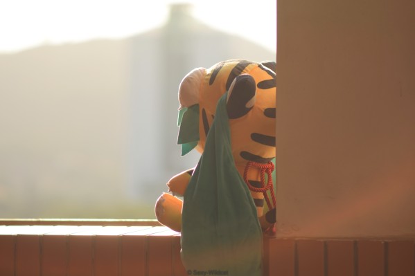 软绵绵玩偶 LL尺寸 初音未来 寅虎2022