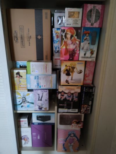 噬血狂袭 姬柊雪菜