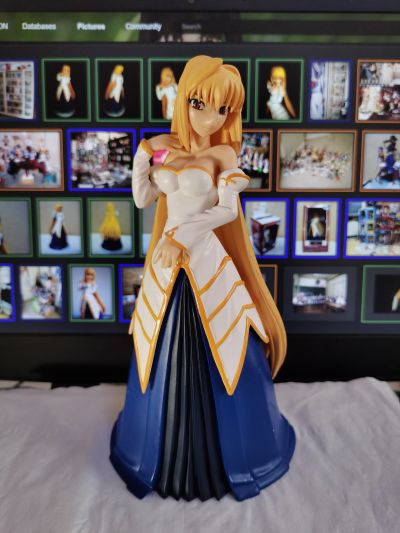 Melty Blood アルクェイド・ブリュンスタッド Extra Figure #4 
