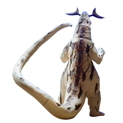 究极闪耀  艾雷王+宇宙飞船（匹特星人）