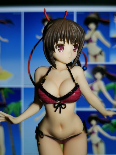 BEACH QUEENS 大图书馆的饲羊人  樱庭玉藻 