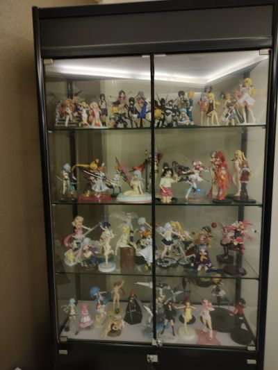 噬血狂袭 姬柊雪菜