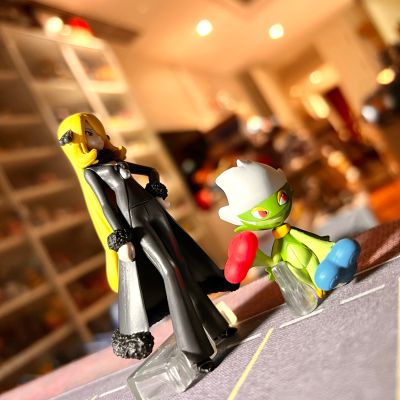 宝可梦比例世界 神奥地区 罗丝雷朵与海兔兽(西海)与花岩怪与波克基斯