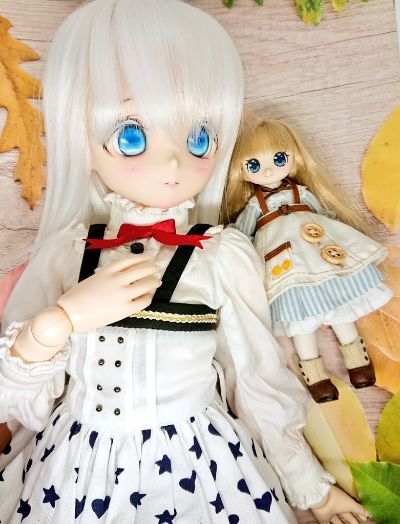 s*t*j × 艾莉丝收集 HONONO ～Fluffy puppy love～ 掼奶油ver.