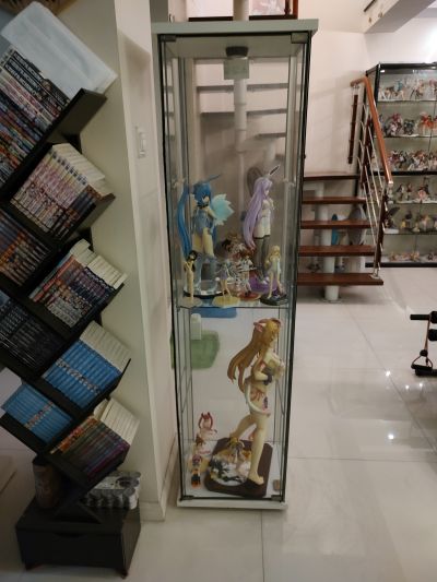 噬血狂袭 姬柊雪菜