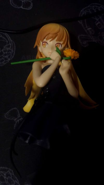 一番赏 Premium 伤物语 热血篇 C奖 姬丝秀忒 10岁