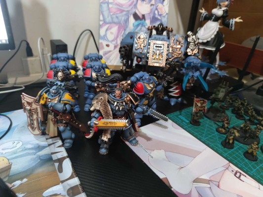 战锤40000 太空野狼 凶残比约恩