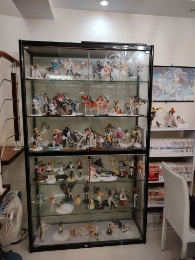 噬血狂袭 姬柊雪菜