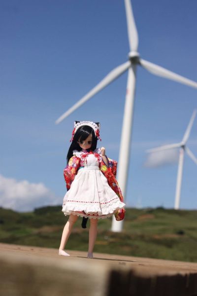 PureNeemo Azone Direct Store 