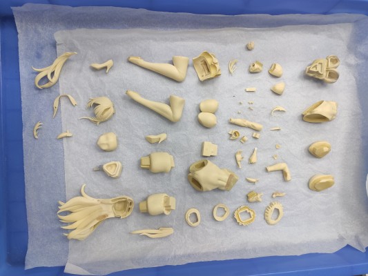 mochi 兔女郎  DX版