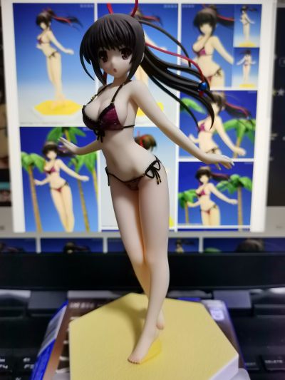 BEACH QUEENS 大图书馆的饲羊人  樱庭玉藻 