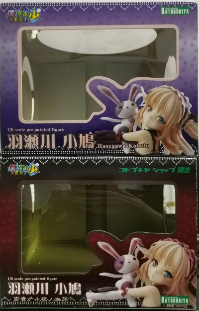 我的朋友很少NEXT 羽濑川小鸠 -高贵夜之血族-