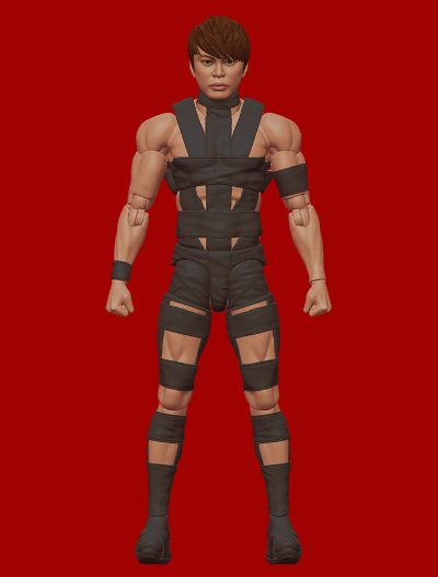 S.H.Figuarts T.M.Revolution