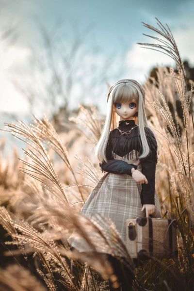 Dollfie Dream Dynamite DDdy 美子