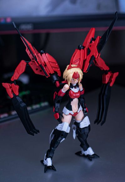 今日份武装阿露卡