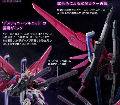 RG 1/144  命运脉冲高达