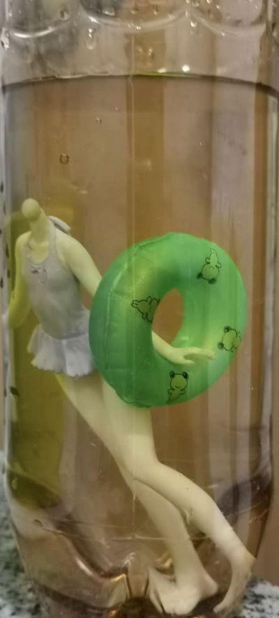 沙滩女王 IS〈无限斯特拉托斯〉 凰铃音 泳装