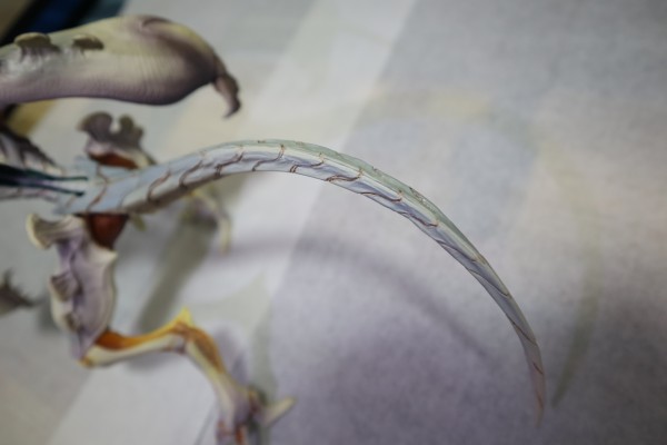 进化战记 进化人浓雾型 概念模型