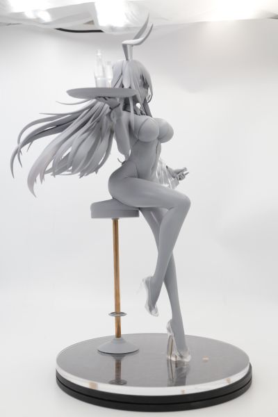 《太阳风计划》白夏 （执行任务 Ver.）