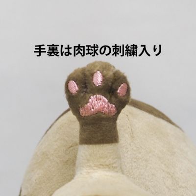 斯普拉遁3 全明星系列 SP43 Lil‘Judge