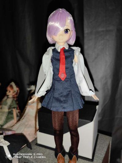 PureNeemo角色系列 No.141  命运-冠位指定 玛修·基列莱特