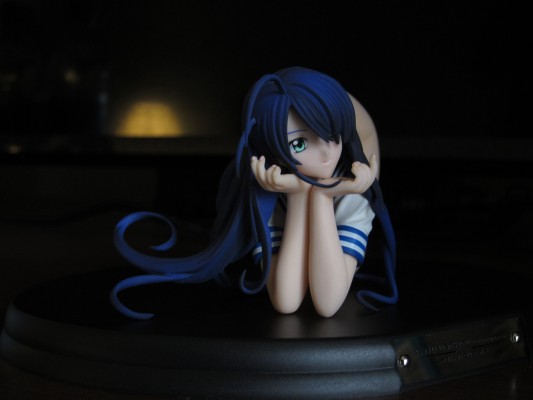 一骑当千 关羽云长 DVD裏ジャケver. 