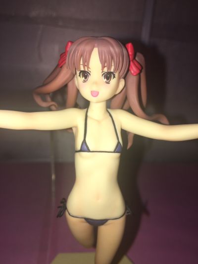 沙滩女王 魔法的禁书目录（茵蒂克斯） 白井黑子