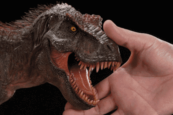 MUS015 博物馆古生物系列 霸王龙