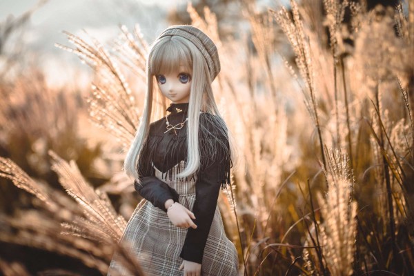 Dollfie Dream Dynamite DDdy 美子