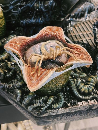 PMDHAL-03 异形 异形女王