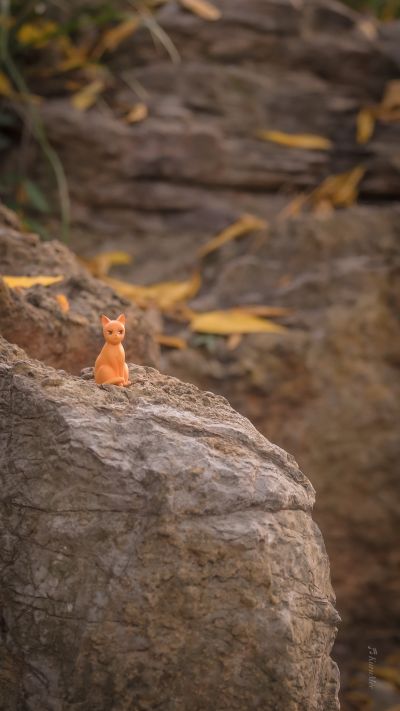 ARTFX J 水果篮子 草摩夹