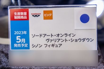 刀剑神域 火线争战 诗乃