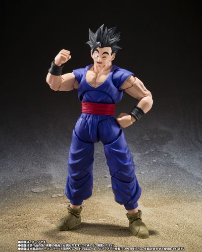 S.H.Figuarts  斑斑 / 小芳《龙珠超：超级人造人》